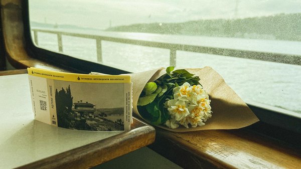 Partir en camping dans les Landes avec son animal de compagnie